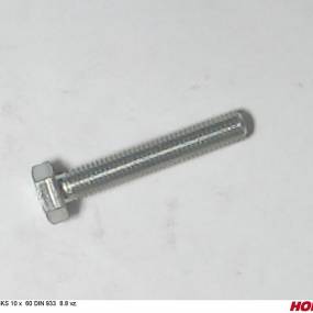 Sks 10 X 60 Din 933 8.8 Vz. Horsch 00360239