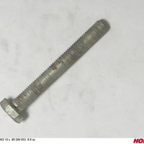 Sks 10 X 80 Din 933 8.8 Vz. Horsch 00360240