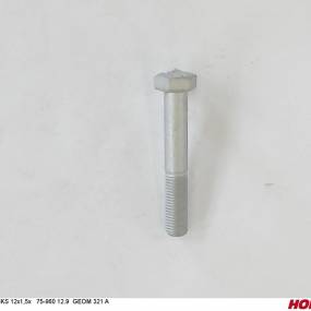 Sks 12X1,50 X 75 Din 960 12.9 Geom321A Horsch 00360264