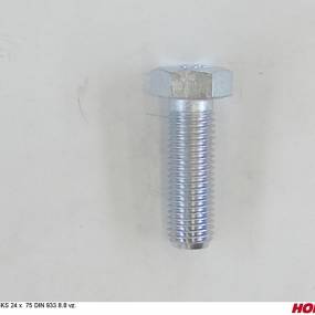 Sks 24 X 75 Din 933 8.8 Vz. Horsch 00360271