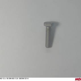 Sks 12 X 50 Din 933 12.9 Geom321A Horsch 00360450