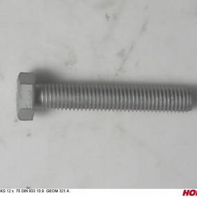 Sks 12 X 70 Din 933 10.9 Geom321A Horsch 00360497