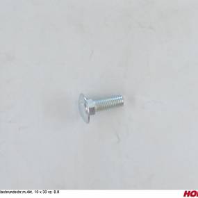 Flachrundschr.m.4Kt. 10 X 30 8.8 Vz. Horsch 00370041