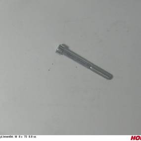 Zyl.innen6Kt. M 8 X 70 8.8 Vz. Horsch 00370144