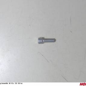 Zyl.innen6Kt. M 10 X 30 8.8 Vz. (00370157) Horsch
