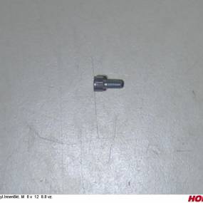 Zyl.innen6Kt. M 6 X 12 8.8 Vz. Horsch 00370211