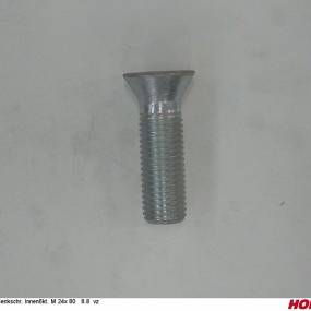 Senkschr. Innen6Kt. M 24X 80 8.8 Vz Horsch 00370413