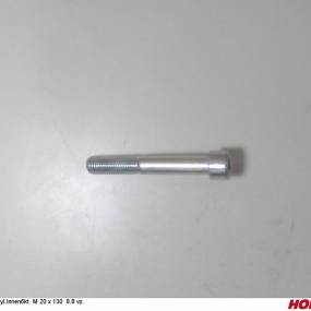 Zyl.innen6Kt. M 20 X 130 8.8 Vz. Horsch 00370414