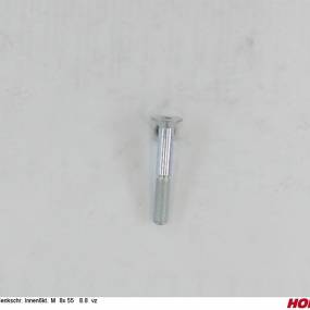 Sesmi 8 X 55 Din En Iso 10642 8.8 Vz. Horsch 00370559