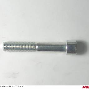 Zyl.innen6Kt. M 12 X 75 8.8 Vz. Horsch 00370621