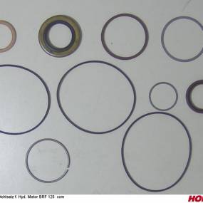 Dichtsatz F. Hyd. Motor Brf 12 Horsch 00381060