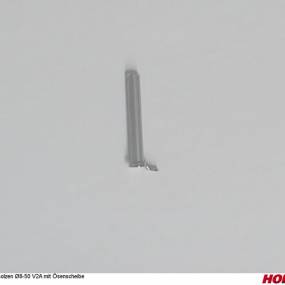 Bolzen D8-50 V2A mit Ísenschei Horsch 04006906