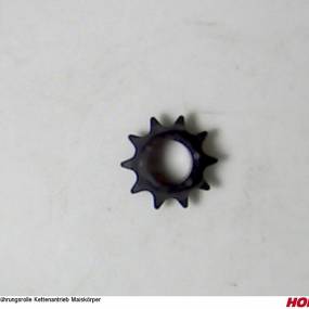 Führungsrolle Kettenantrieb Maiskörper Horsch 24157207