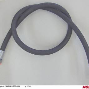 Hsdn16 2Sc Dkol18 Dkol18 1700 Horsch 00120389