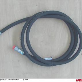 Hsdn12 2Sc Dkol15 Dkol15 3000 Horsch 00120573