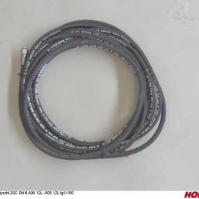 Hs Dn08 2Sc Dkol12 Dkol12  L11  Horsch 00120793