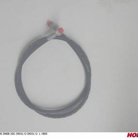 Hsdn08 2Sc Dkol12 Dkol12 1850 Horsch 00120979