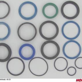 Dichtsatz 40-25 Horsch 00130208