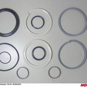 Dichtsatz 130-50 Burnside Horsch 00130391