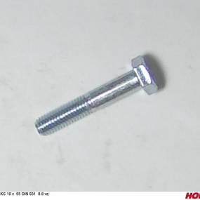 Sks 10 X 55 Din 931 8.8 Vz. Horsch 00360023