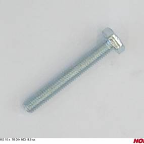 Sks 10 X 70 Din 933 8.8 Vz. Horsch 00360124