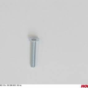 Sks 10 X 50 Din 933 8.8 Vz. (00360128) Horsch