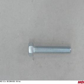 Sks 12 X 60 Din 933 8.8 Vz. Horsch 00360137