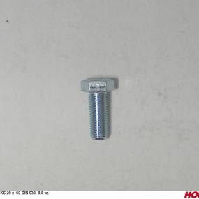 Sks 20 X 50 Din 933 8.8 Vz. Horsch 00360158