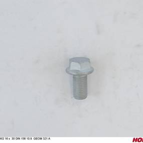 Sks 16 X 30 Bö.n.158 10.9 Geom 321 A Horsch 00360212