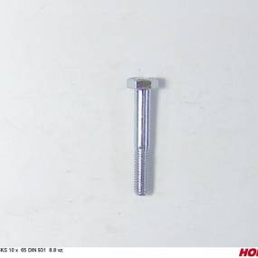 Sks 10 X 65 Din 931 8.8 Vz. Horsch 00360480