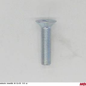 Sesmi 12 X 50 Din En Iso 10642 8.8 Vz. Horsch 00370077