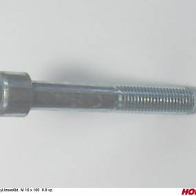 Zyl.innen6Kt. M 16 X 100 8.8 Vz. Horsch 00370154