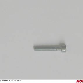 Zyl.innen6Kt. M 5 X 30 8.8 Vz. Horsch 00370159