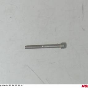 Zyl.innen6Kt. M 5 X 50 8.8 Vz. Horsch 00370169