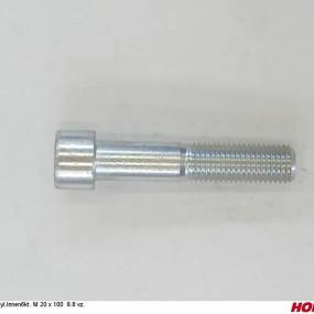 Zyl.innen6Kt. M 20 X 100 8.8 Vz. Horsch 00370386