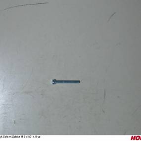 Zyl.schr.m.schlitz M 5 X 40 4.8 Vz Horsch 00370478