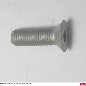 Sesmi 20 X 60 Din En Iso 10642 10.9 Zlü Horsch 00370534