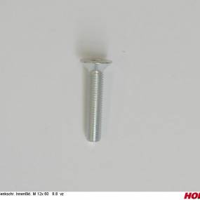 Sesmi 12 X 60 Din En Iso 10642 8.8 Vz. Horsch 00370544