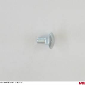 Flachrundschr.m.4Kt. 12 X 25 8.8 Vz. Horsch 00370576