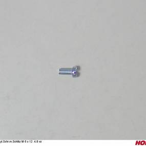 Zyl.schr.m.schlitz M 6 X 12 4.8 Vz Horsch 00370651