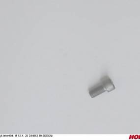 Zyl.innen6Kt. M 12 X 25 Din912 10.9Geom (00370896) Horsch