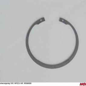 Sicherungsring 100 I Nfe22-165 80590000 Horsch 00385310