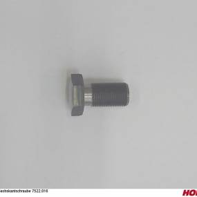Sechskantschraube 7522.016 Horsch 04004591