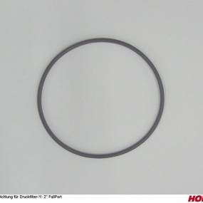 Dichtung für Druckfilter-Y- 2'' Fullport (04104245) Horsch