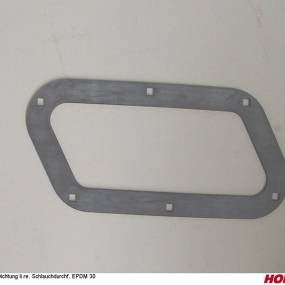 Dichtung Li.re. Schlauchdurchf. Epdm 30 Horsch 23263405