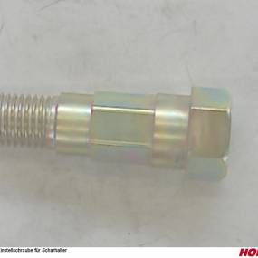 Einstellschraube für Scharhalter Horsch 23641510