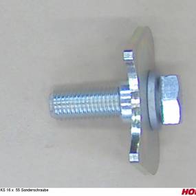 Sks 16 X 55 Sonderschraube Horsch 24117100