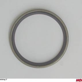 Dichtring 3 Horsch 27041306