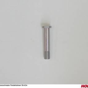 Passschraube Pendelrahmen 39-42M Horsch 30020868