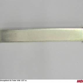 Führungsblech für Feder Vam 12St Vz. Horsch 31124603